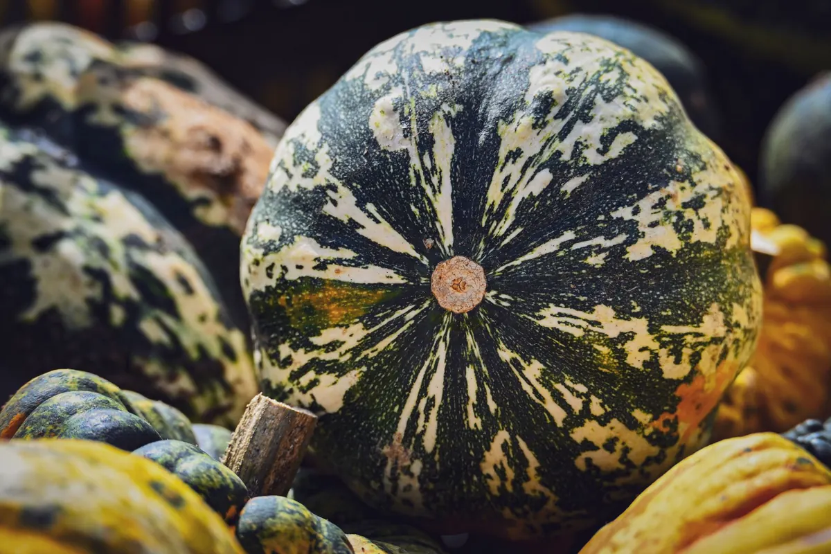 Autumn UK Pantry: What to Store, Dry and Preserve